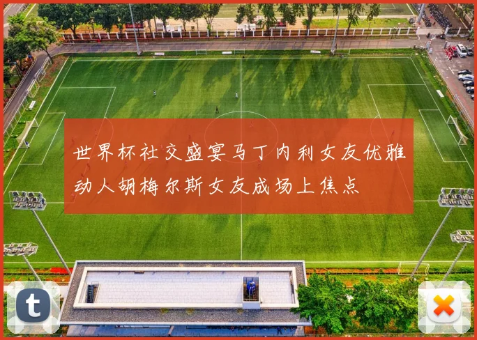 世界杯社交盛宴马丁内利女友优雅动人胡梅尔斯女友成场上焦点